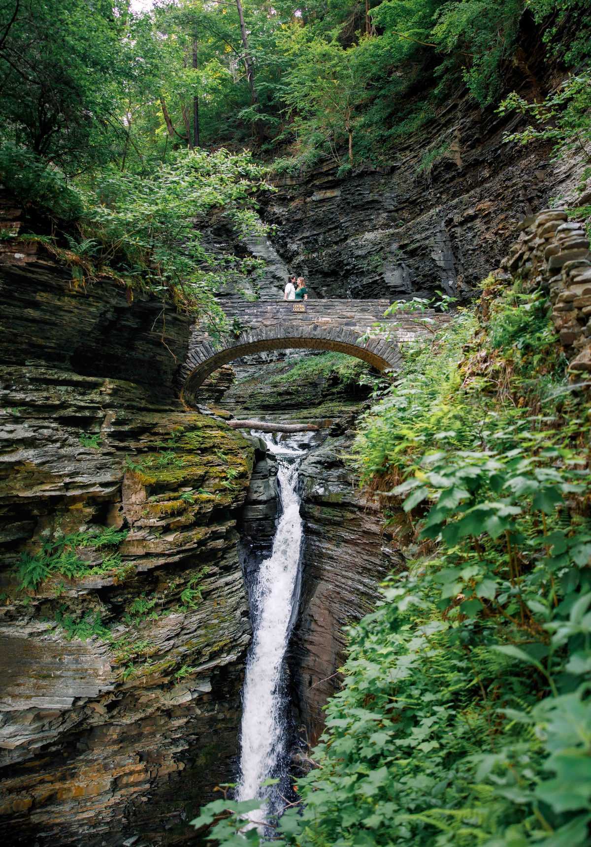 Portfolio photo 11